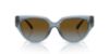 Picture of Michael Kors Sunglasses MK2241U