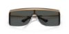 Picture of Michael Kors Sunglasses MK1169