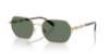 Picture of Michael Kors Sunglasses MK1165
