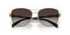 Picture of Michael Kors Sunglasses MK1163