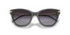 Picture of Emporio Armani Sunglasses EA4251F