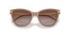 Picture of Emporio Armani Sunglasses EA4251F