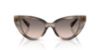 Picture of Dolce & Gabbana Sunglasses DG4497