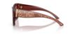 Picture of Dolce & Gabbana Sunglasses DG4493