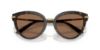 Picture of Dolce & Gabbana Sunglasses DG4492