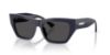 Picture of Jimmy Choo Sunglasses JC5035B