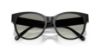 Picture of Coach Sunglasses HC8430D