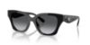 Picture of Coach Sunglasses HC8418U