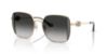 Picture of Coach Sunglasses HC7177B