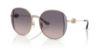 Picture of Coach Sunglasses HC7176B