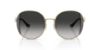 Picture of Coach Sunglasses HC7176B