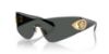 Picture of Versace Sunglasses VE2280