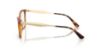 Picture of Vogue Eyeglasses VO5624