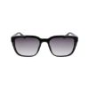 Picture of Nike Sunglasses TEMPER FLAIR IF1055X