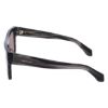 Picture of Salvatore Ferragamo Sunglasses SF2063SE