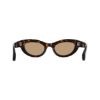 Picture of Salvatore Ferragamo Sunglasses SF2062SE