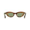 Picture of Salvatore Ferragamo Sunglasses SF2062SE
