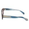 Picture of Salvatore Ferragamo Sunglasses SF2062SE