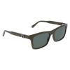 Picture of Salvatore Ferragamo Sunglasses SF2060SE