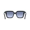 Picture of Salvatore Ferragamo Sunglasses SF2058SE