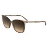 Picture of Calvin Klein Sunglasses CK25504S