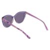 Picture of Bebe Sunglasses BB7268
