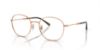 Picture of Ray Ban Eyeglasses RX6509