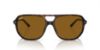 Picture of Ray Ban Sunglasses RB2205