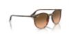 Picture of Ray Ban Sunglasses RB2204