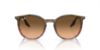 Picture of Ray Ban Sunglasses RB2204