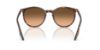 Picture of Ray Ban Sunglasses RB2204
