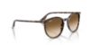 Picture of Ray Ban Sunglasses RB2204