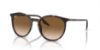 Picture of Ray Ban Sunglasses RB2204