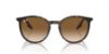 Picture of Ray Ban Sunglasses RB2204