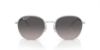 Picture of Ray Ban Sunglasses RB3809