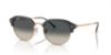 Picture of Ray Ban Sunglasses RB4429