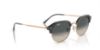 Picture of Ray Ban Sunglasses RB4429