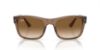 Picture of Ray Ban Sunglasses RB4428F