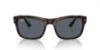 Picture of Ray Ban Sunglasses RB4428