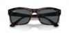 Picture of Ray Ban Sunglasses RB4428