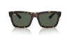 Picture of Ray Ban Sunglasses RB4396F