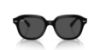 Picture of Ray Ban Sunglasses RB4398
