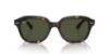 Picture of Ray Ban Sunglasses RB4398