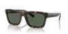 Picture of Ray Ban Sunglasses RB4396