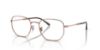 Picture of Ray Ban Eyeglasses RX6496