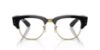 Picture of Ray Ban Eyeglasses RX0316V