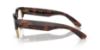 Picture of Ray Ban Eyeglasses RX0316V