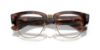 Picture of Ray Ban Eyeglasses RX0316V