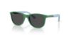 Picture of Ray Ban Sunglasses RJ9077S