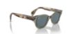 Picture of Ray Ban Sunglasses RB0880S